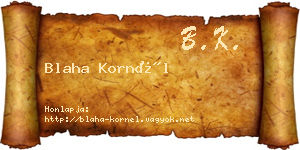 Blaha Kornél névjegykártya
