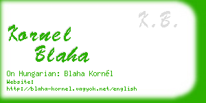 kornel blaha business card