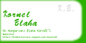 kornel blaha business card